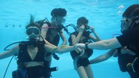 IMG_0077.jpg